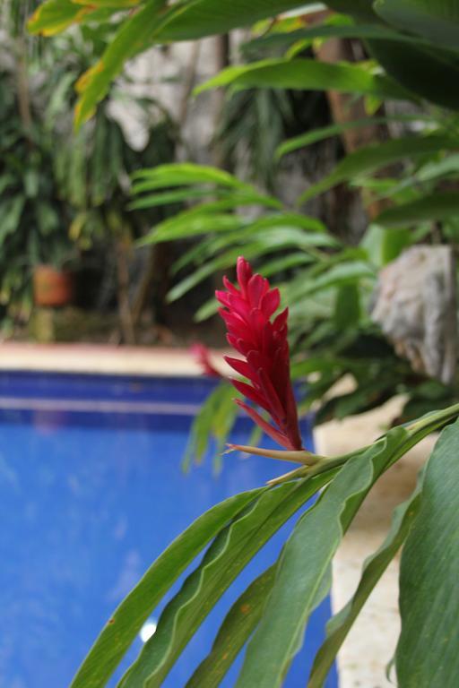 Casa Del Tejadillo Hotell Cartagena Eksteriør bilde