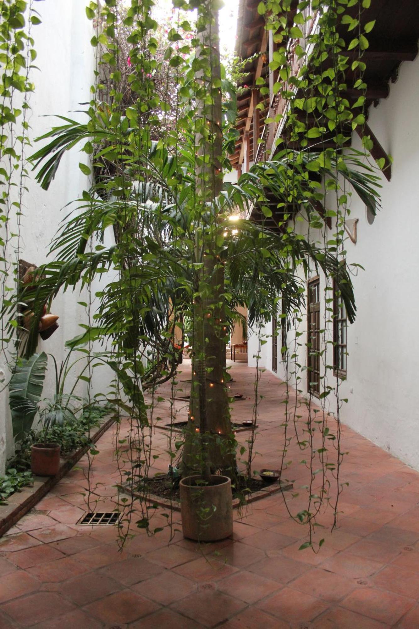 Casa Del Tejadillo Hotell Cartagena Eksteriør bilde